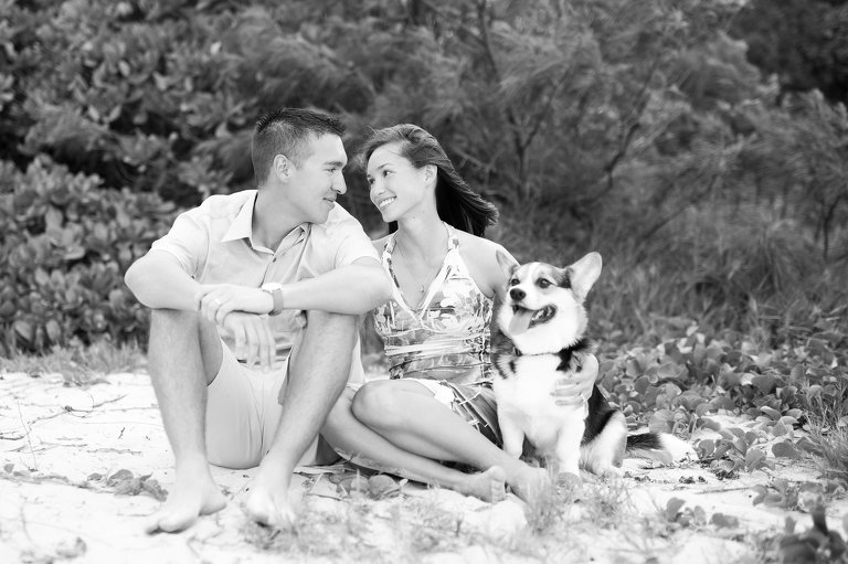 Oahu Photographers for couples | couple sitting on beach with dog